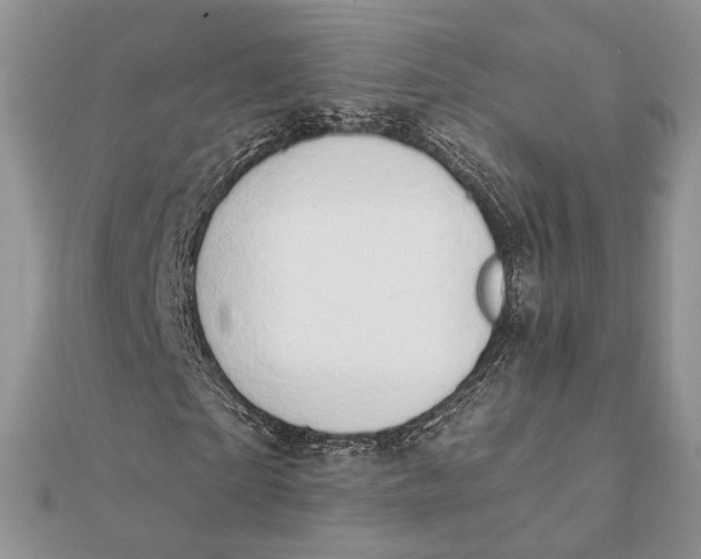 X0000111440865200908031350