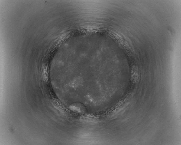 X0000111440866200908031350