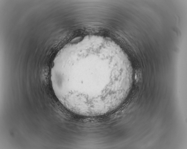 X0000111440867200908031350