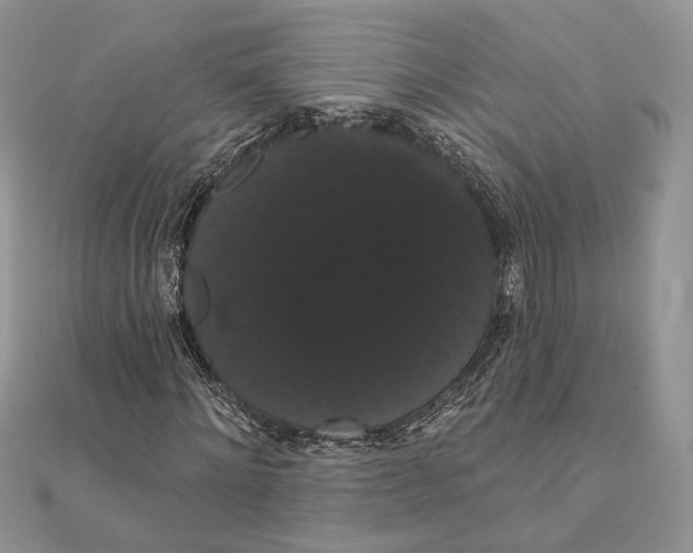 X0000111440868200908031350