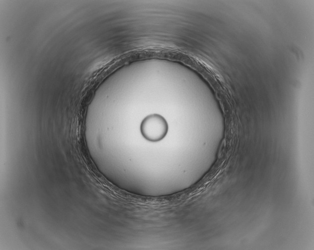 X0000111440869200908031350