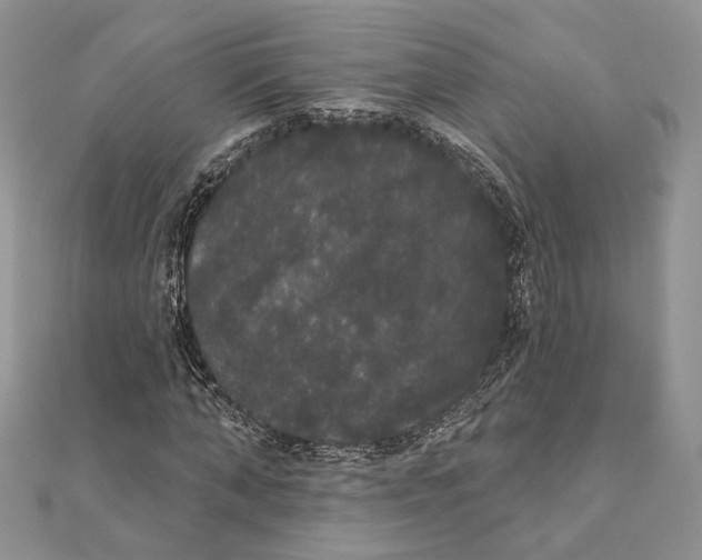 X0000111440870200908031350