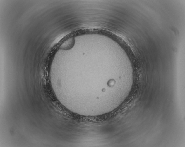 X0000111440871200908031350