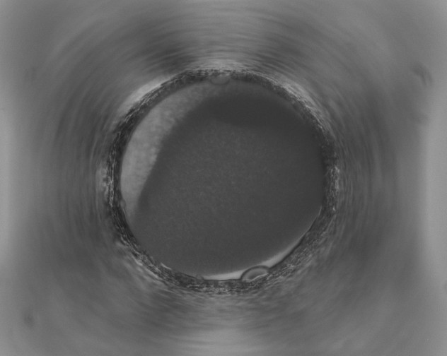 X0000111440872200908031350