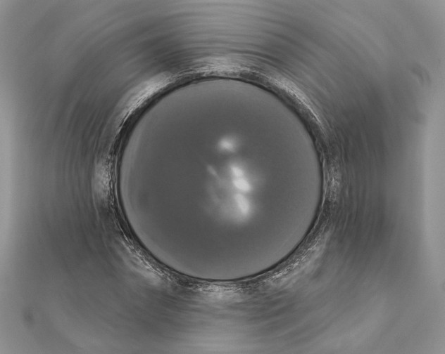 X0000111440874200908031350