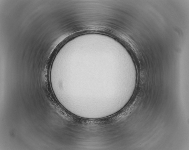 X0000111440875200908031350