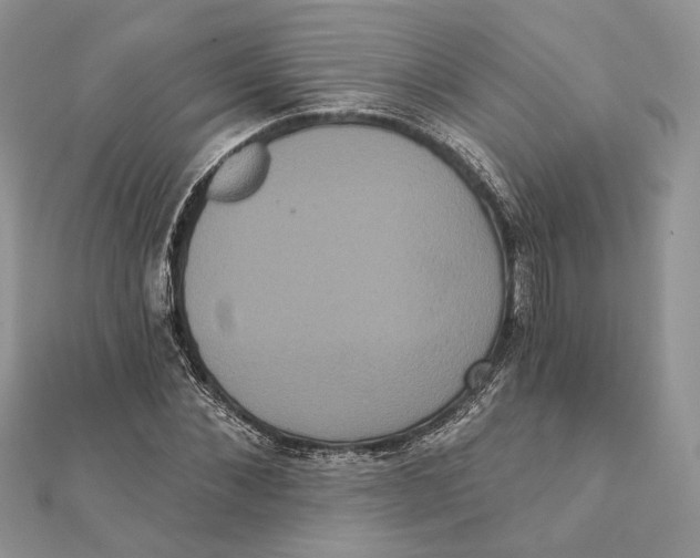 X0000111440876200908031350