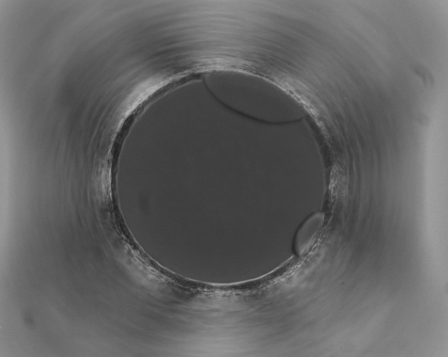 X0000111440877200908031350