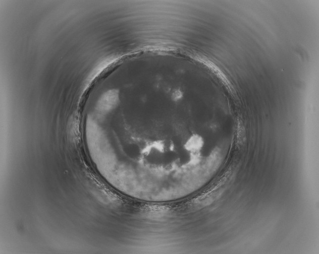 X0000111440878200908031350