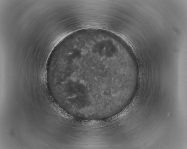 X0000111440879200908031350