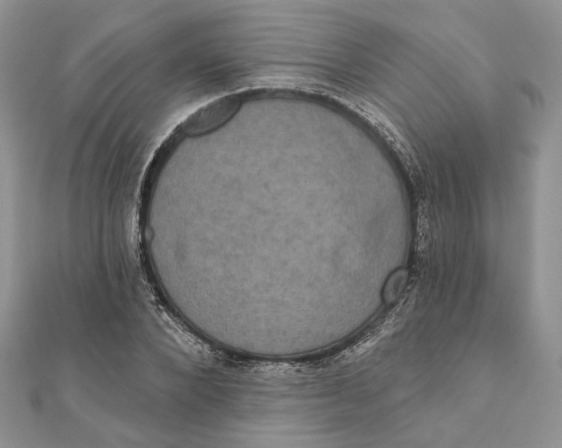 X0000111440880200908031350