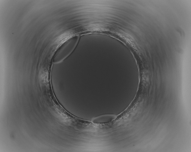 X0000111440881200908031350