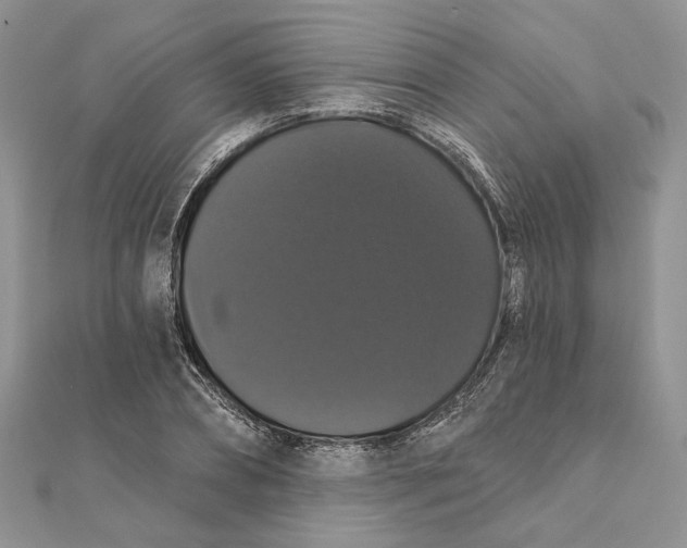 X0000111440882200908031350