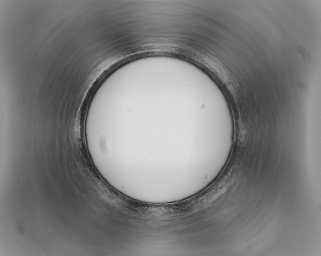 X0000111440883200908031350