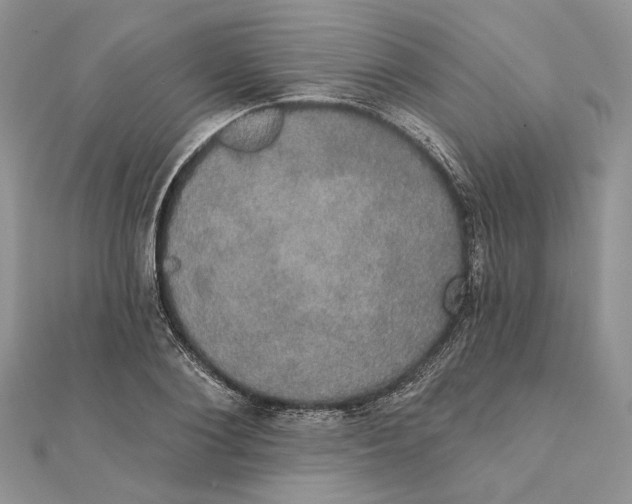 X0000111440884200908031350