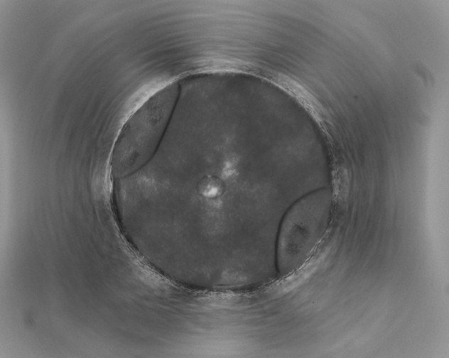 X0000111440885200908031350