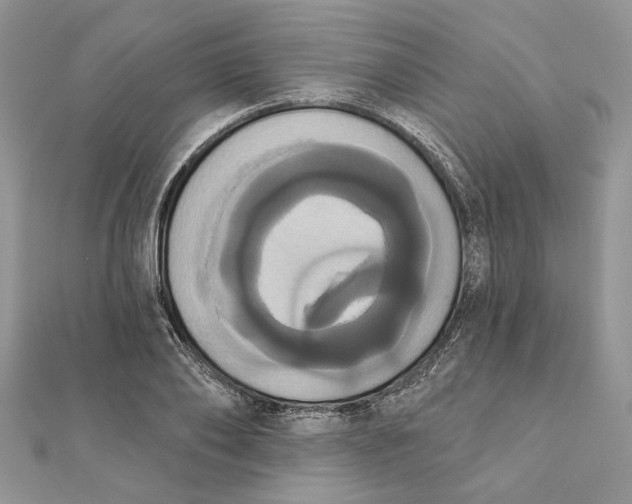 X0000111440886200908031350