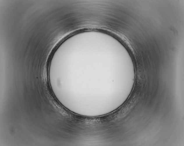 X0000111440887200908031350