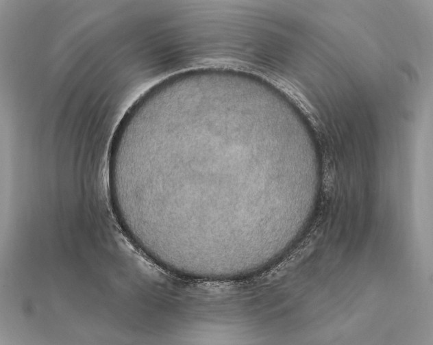 X0000111440888200908031350