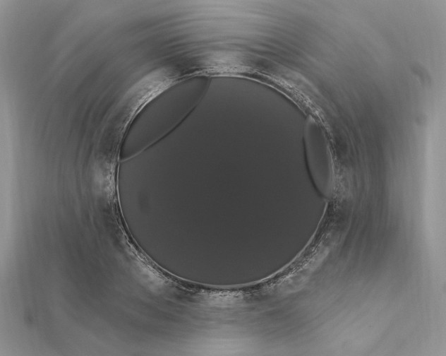 X0000111440889200908031350