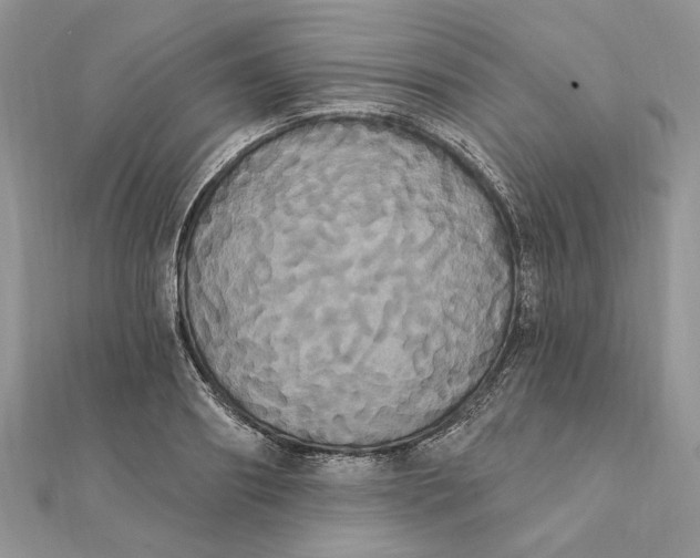 X0000111440890200908031350