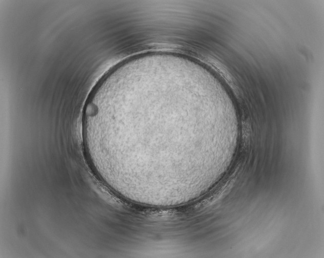 X0000111440891200908031350