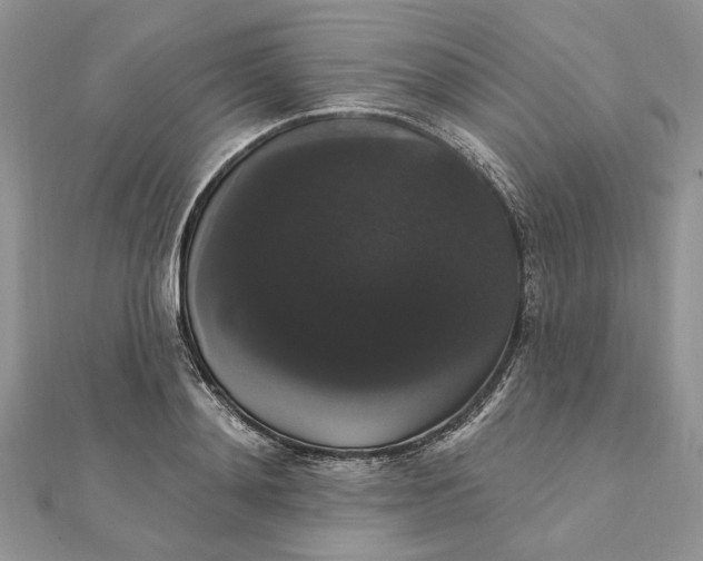 X0000111440892200908031350