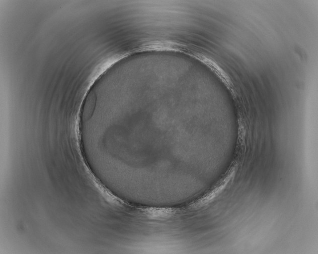 X0000111440893200908031350