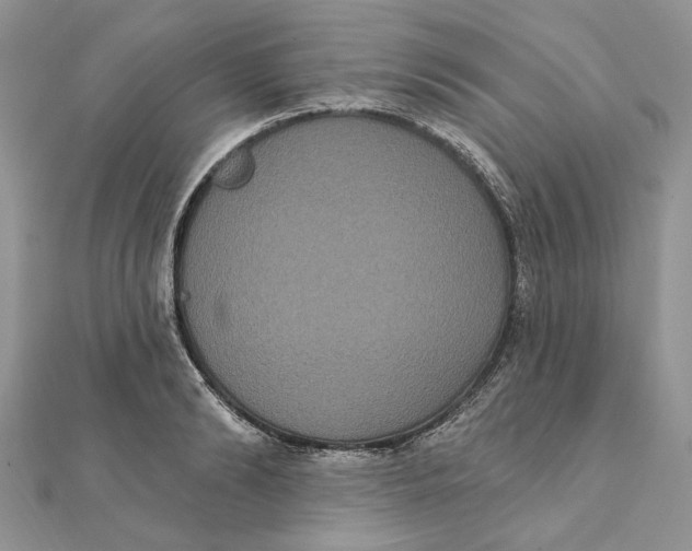 X0000111440894200908031350