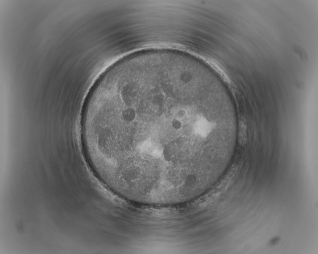 X0000111440895200908031350