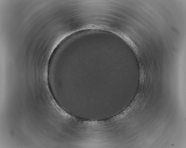 X0000111440896200908031350