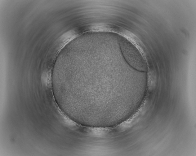 X0000111440897200908031350