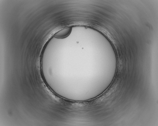 X0000111440898200908031350