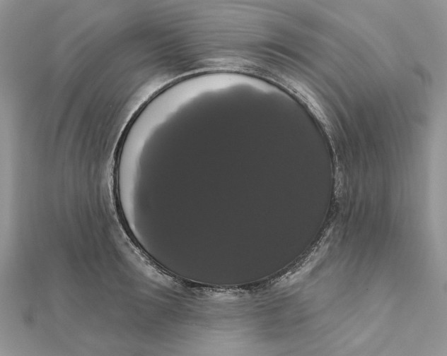 X0000111440899200908031350