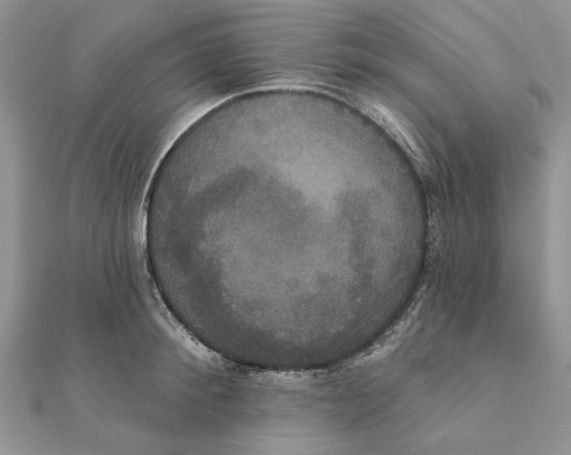 X0000111440900200908031350