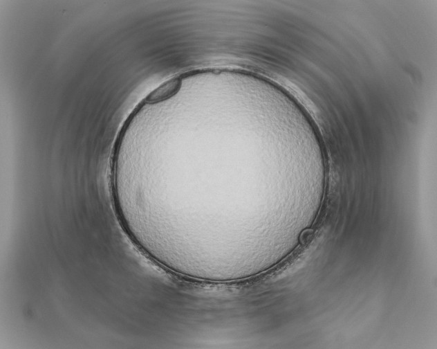 X0000111440901200908031350