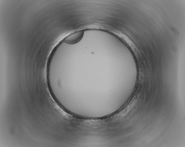 X0000111440902200908031350