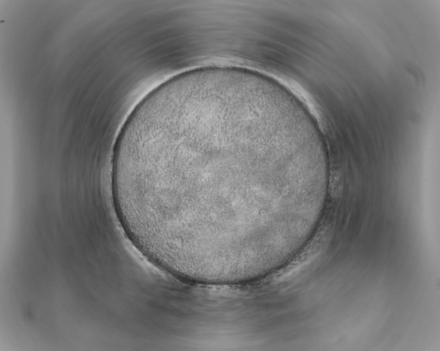 X0000111440903200908031350