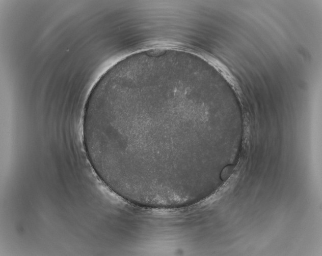 X0000111440904200908031350