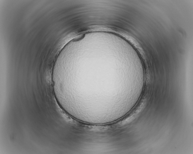 X0000111440905200908031350