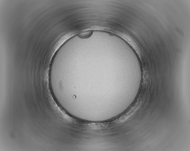 X0000111440906200908031350