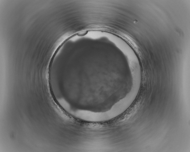 X0000111440907200908031350