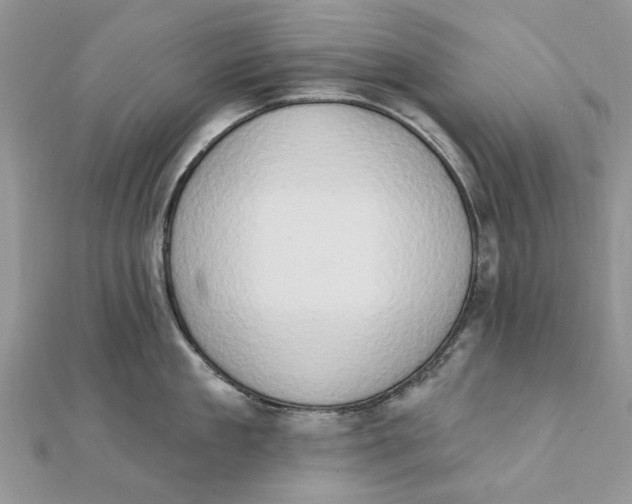 X0000111440909200908031350