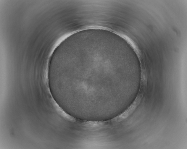 X0000111440910200908031350