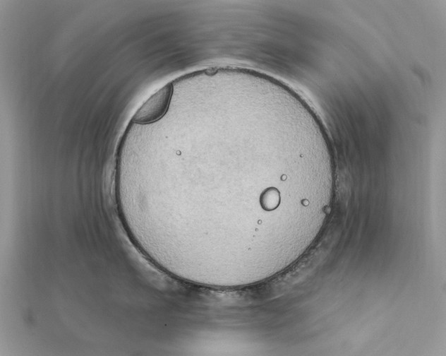 X0000111440911200908031350