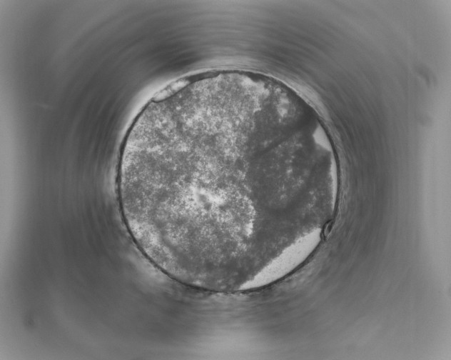 X0000111440912200908031350