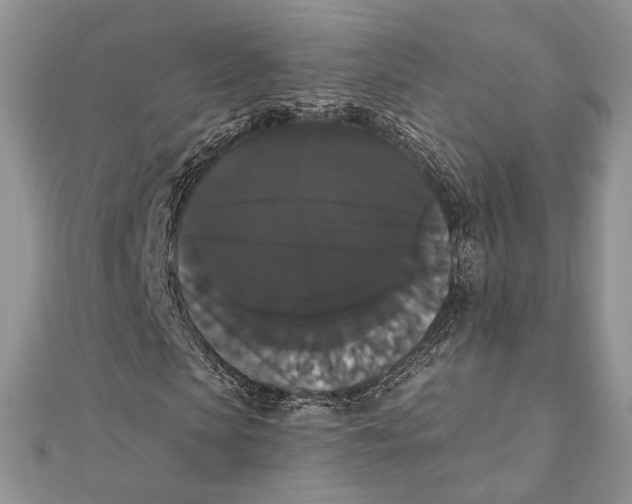 X0000111440913200908031349