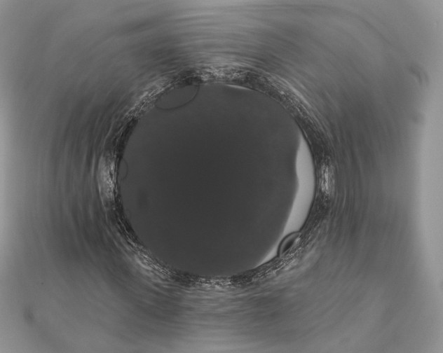 X0000111440915200908031349