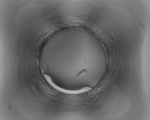 X0000111440916200908031349