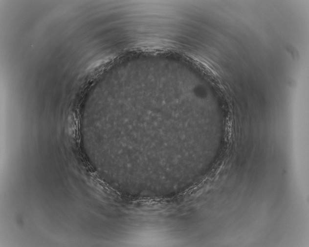 X0000111440917200908031349